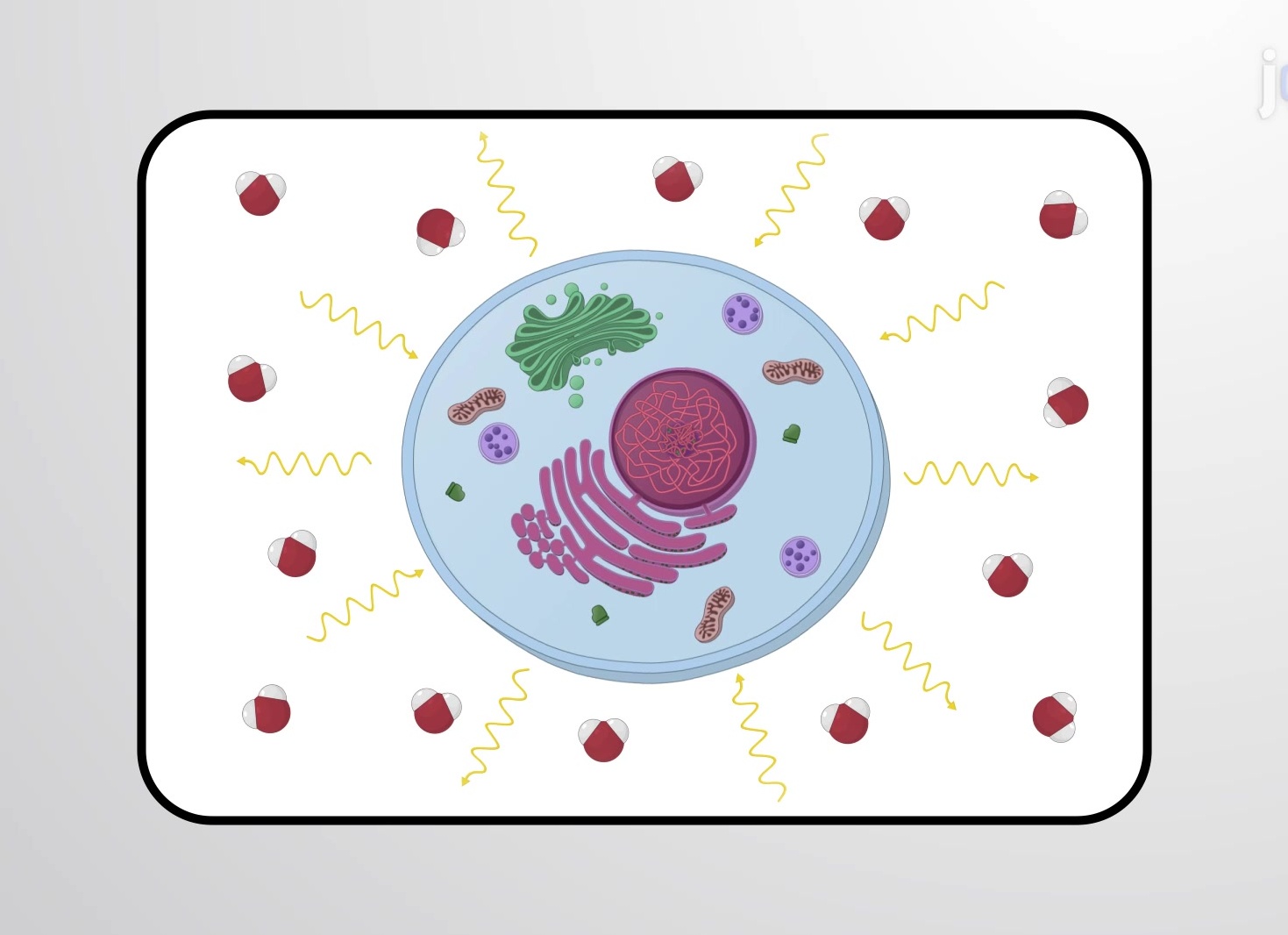 Энтальпия химического процесса