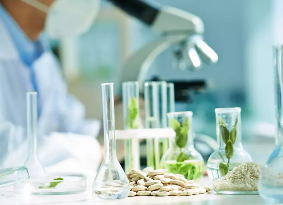 Окислительно-восстановительные реакции: примеры и значимость в органической химии