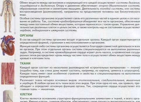 Молекула: структура, свойства и роль в биохимических процессах