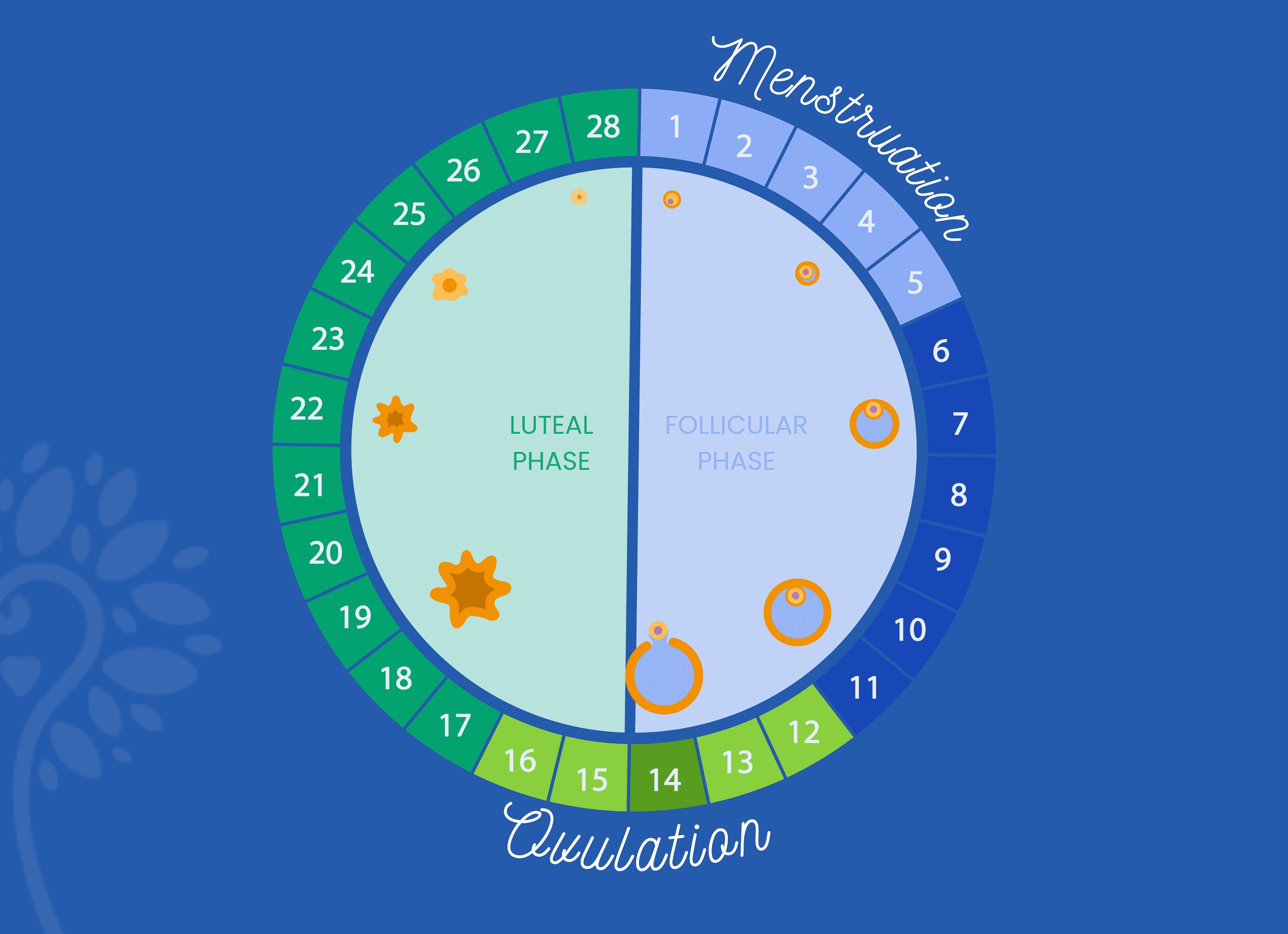 5 распространенных причин неуспеха в органической химии и как их преодолеть